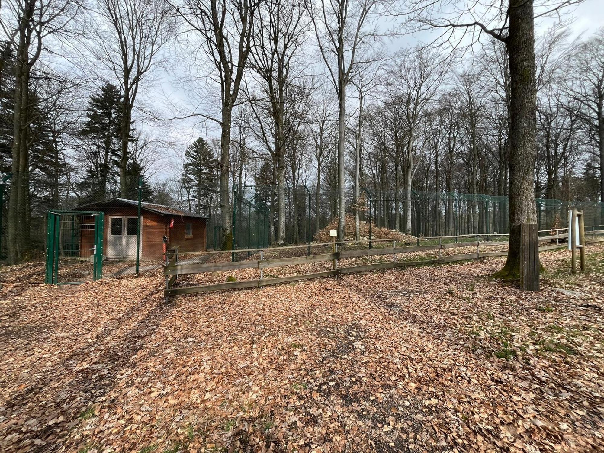 Hochwald Lodge Morbach Εξωτερικό φωτογραφία